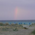 balazsh 2011